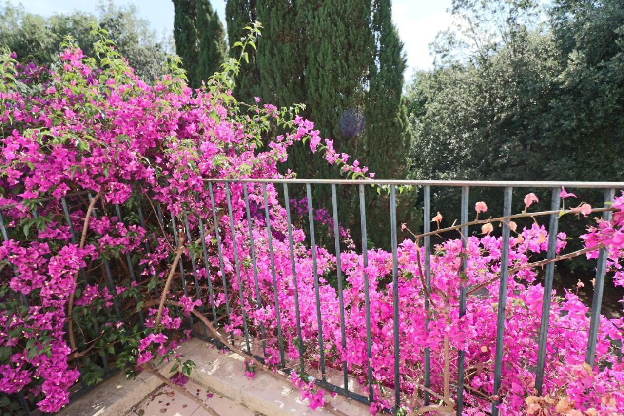 レッチェ Relais Delle Rose Bed & Breakfast エクステリア 写真